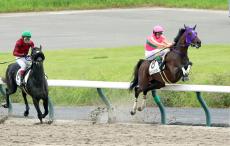 【中京４Ｒ・２歳新馬】ルメール騎手が落馬も乗り替わりはなし　５Ｒ以降も継続し騎乗