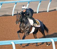 日曜メインレースの注目激走馬…中京１１Ｒローズステークス・Ｇ２