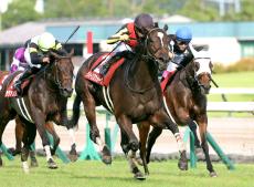 【ローズＳ】クイーンズウォークが前哨戦仕様で快勝　川田将雅騎手「目いっぱいの競馬ではないです」