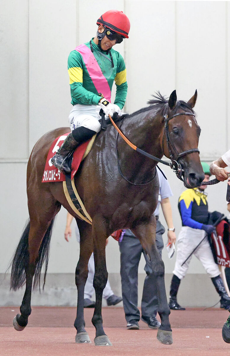 【ローズＳ】タガノエルピーダは秋華賞切符に半馬身届かぬ４着　勝負どころで「出すに出せませんでした」幸英明騎手