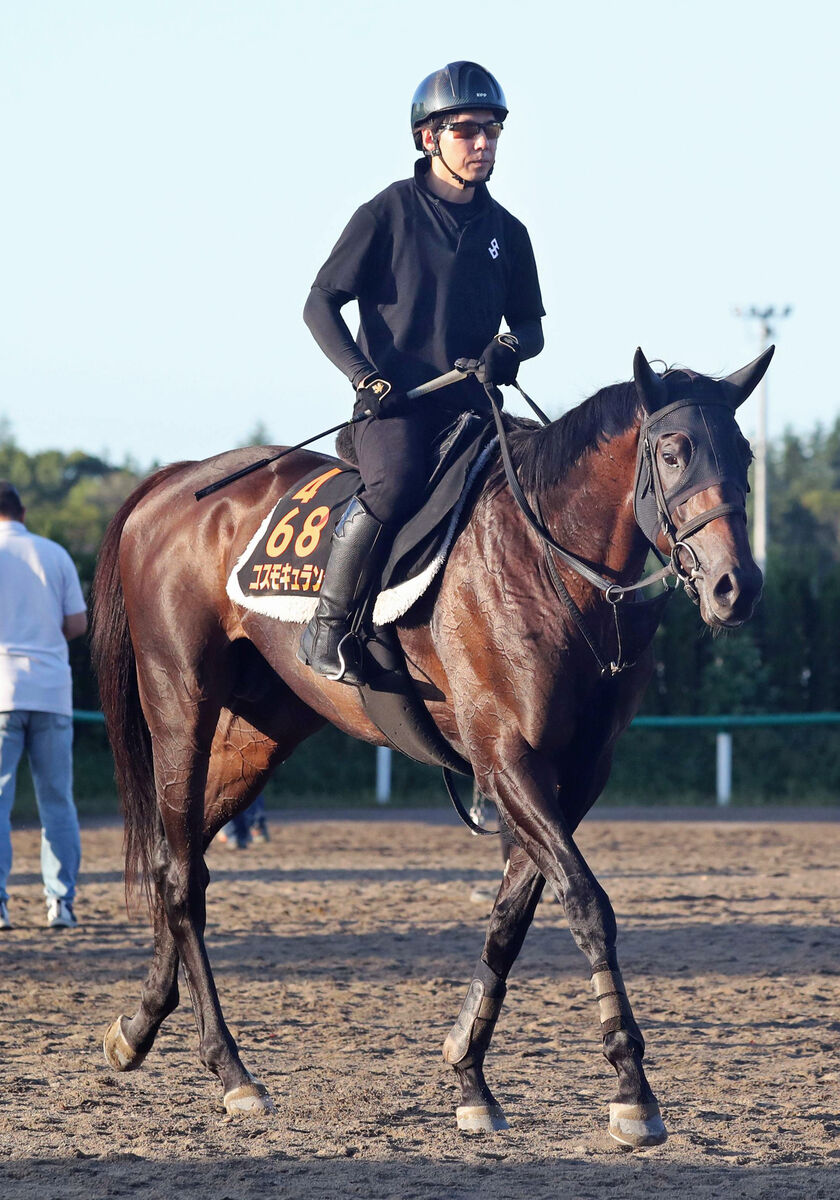 【セントライト記念】武豊騎手初騎乗のキズナ産駒など５頭が前日単勝オッズ１０倍以下の混戦模様