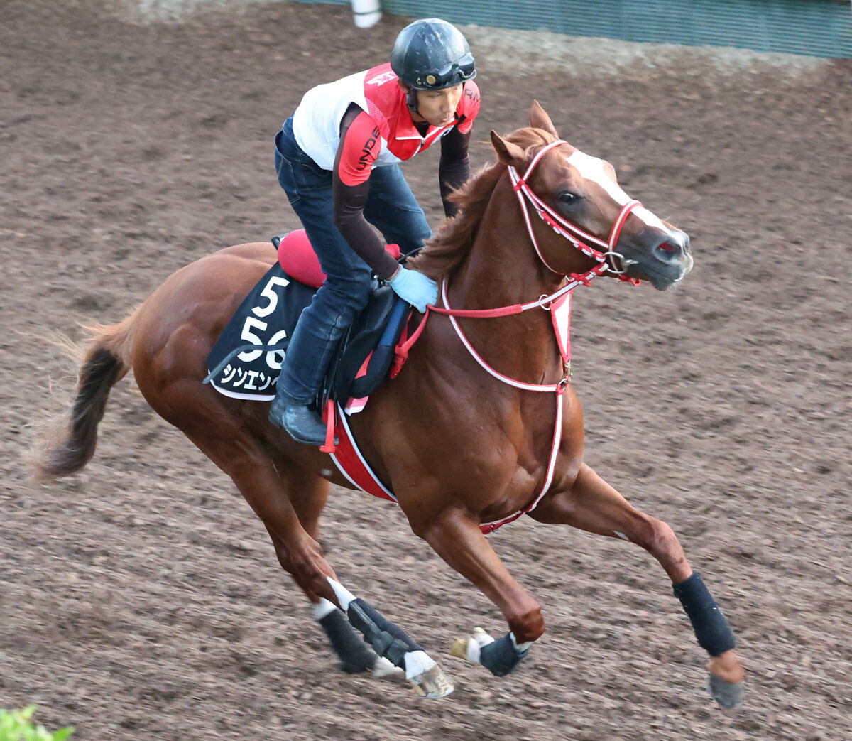 【ニエル賞】パリ大賞に続きソシエがＶ　凱旋門賞オッズも１番人気でシンエンペラーの強力なライバルに