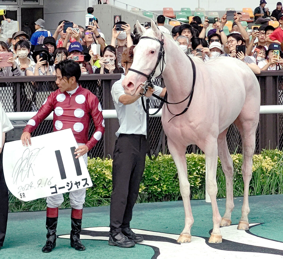 【中京５Ｒ・２歳新馬】白毛のニューヒロイン候補ゴージャスＶ　浜中俊騎手「一生懸命走るところがいい」