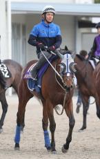 【神戸新聞杯・戸田の特注馬】メイショウタバルが菊花賞へ好発進決める　石橋調教師「本番につながるレースを」