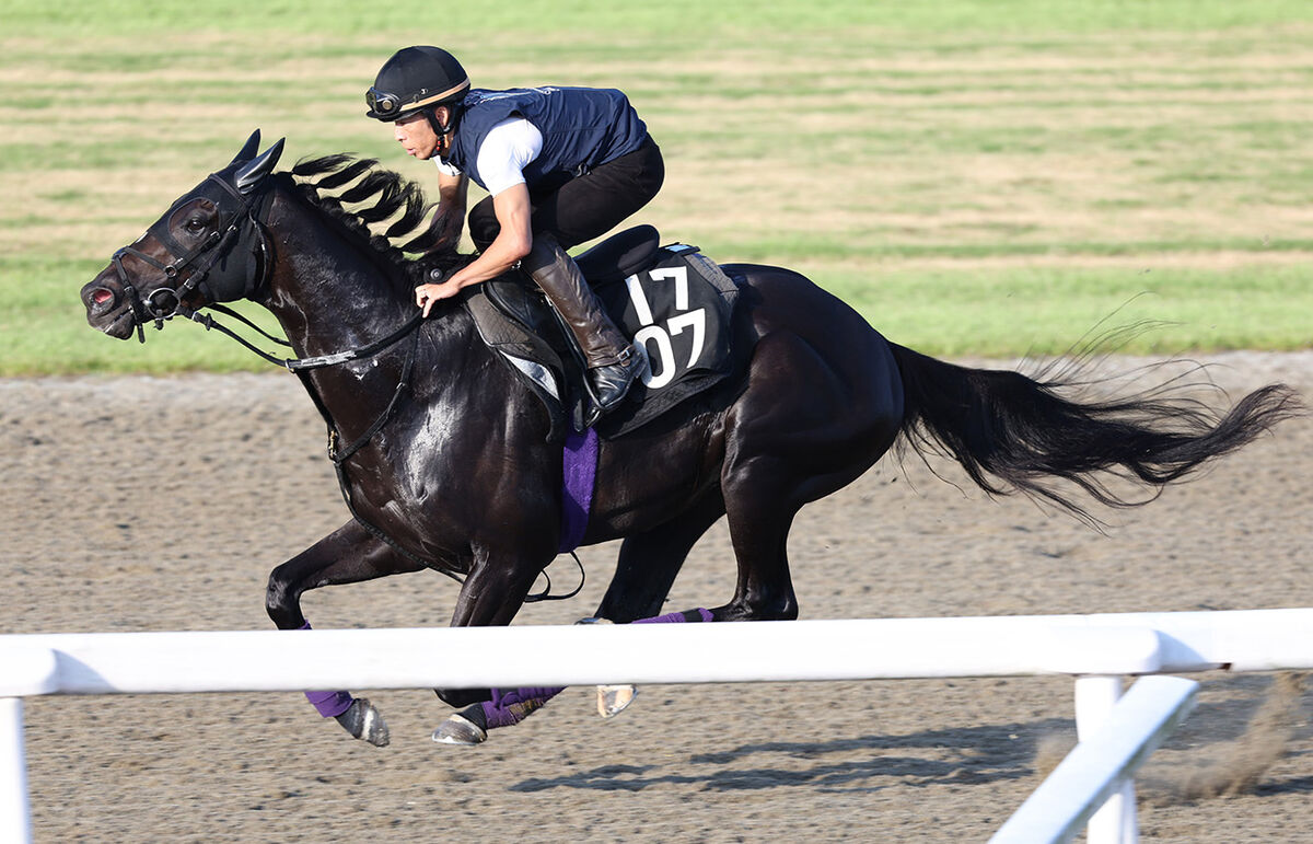 【神戸新聞杯】４戦３勝のオールセインツはポリトラックでスピード感抜群　友道調教師「いい反応をしていた」