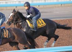 【オールカマー】ラーグルフはＷコースで自己ベスト更新　宗像調教師「上手く体を使ってよく伸びた」