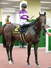 【注目馬動向】エンペラーワケアは引き続き川田将雅騎手とのコンビで武蔵野Ｓへ　根岸Ｓに続く重賞２勝目に挑む