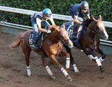 【神戸新聞杯】ビザンチンドリームは坂路で素軽い動き　新コンビの幸英明騎手「あとは折り合いさえつけば」