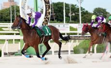 【園田競馬】武豊騎手がゴールデンジョッキーＣ“アレンパ”達成　スペシャルウィーク勝負服を着用して逆転