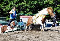 迫力満点！５０頭以上が走る「摩周湖ばん馬大会」…弟子屈町・あの街行く北海道