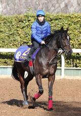 【注目馬動向】フェブラリーＳ勝ち馬ペプチドナイルは南部杯から始動　武英調教師「順調に調整できています」