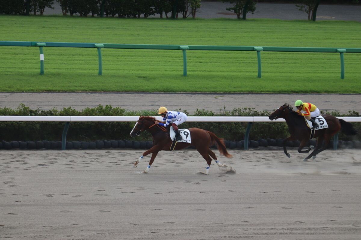 【中山１Ｒ・２歳未勝利】スリーピースが圧倒的人気に応え５戦目で初勝利　伯父にＧ１馬カンパニー