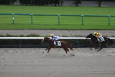 【中山１Ｒ・２歳未勝利】スリーピースが圧倒的人気に応え５戦目で初勝利　伯父にＧ１馬カンパニー