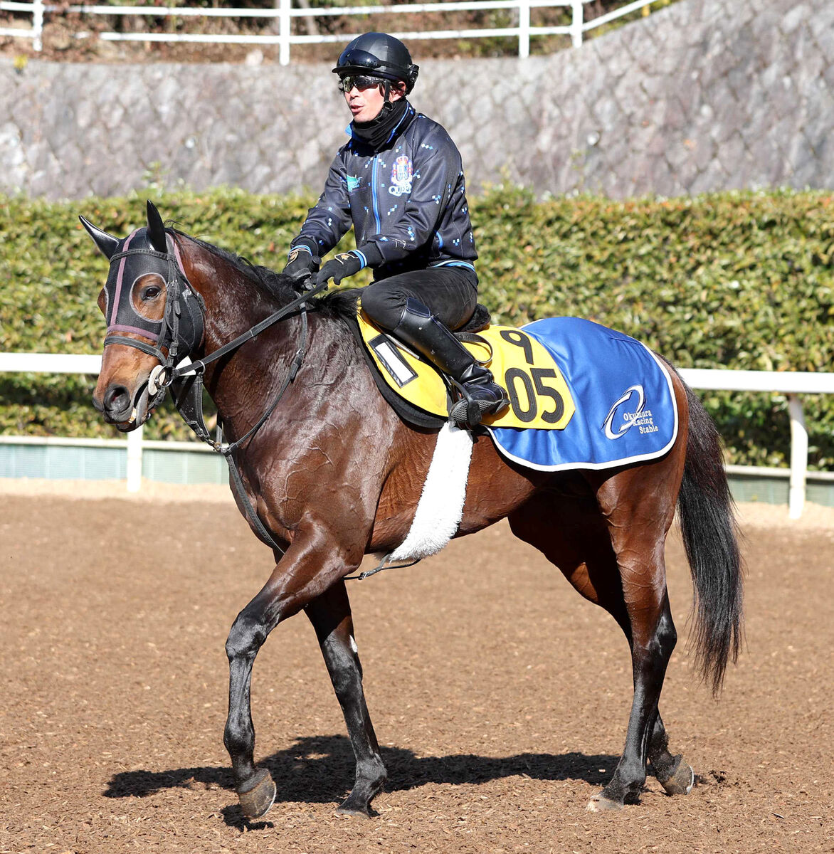 土曜メインレースの注目激走馬…中山１１Ｒ・ながつきステークス