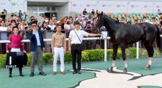 【中京８Ｒ・野路菊Ｓ】１番人気エリキングが堂々のデビュー２連勝　川田将雅騎手「軽い反抗期を迎えている」