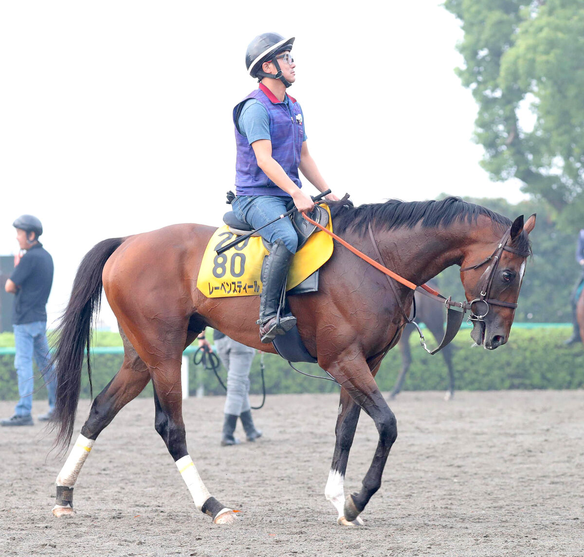 【オールカマー】前日単勝１番人気はレーベンスティール１・７倍　唯一のＧ１馬は７番人気３８・５倍