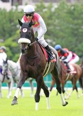 【神戸新聞杯】ジューンテイクが半馬身差まで詰め寄る２着　藤岡佑介騎手「期待持てる内容」で菊花賞へ