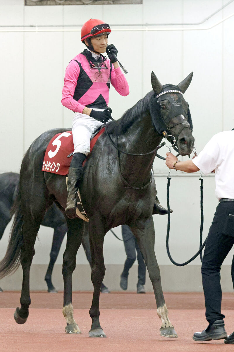 【神戸新聞杯】オールセインツは菊花賞切符届かず４着　坂井瑠星騎手「得意ではない」稍重馬場で