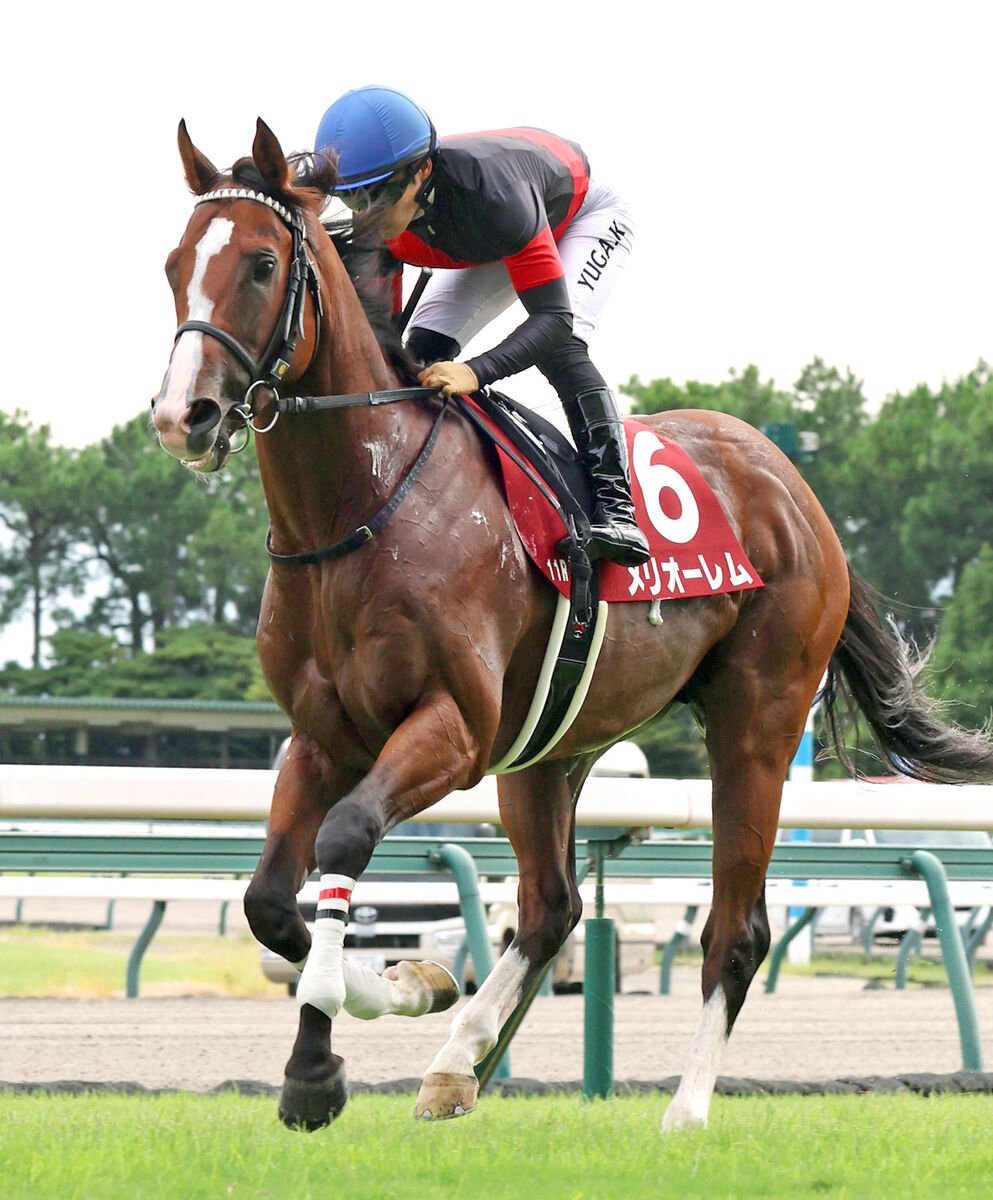 【神戸新聞杯】１番人気５着のメリオーレムは馬場適性も響いたか　川田将雅騎手「重賞挑戦でよく頑張ってくれた」