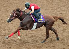 【スプリンターズＳ・松末の特注馬】良化顕著な一昨年の２着馬が悲願に照準　深山調教師「さらに良くなった」