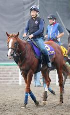 【スプリンターズＳ・浅子の特注馬】右回りこそのトウシンマカオ　今回が絶好の狙い時