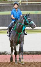 【スプリンターズＳ】春秋スプリントＧ１制覇を狙うマッドクール　陣営「馬がパンとしてきた」