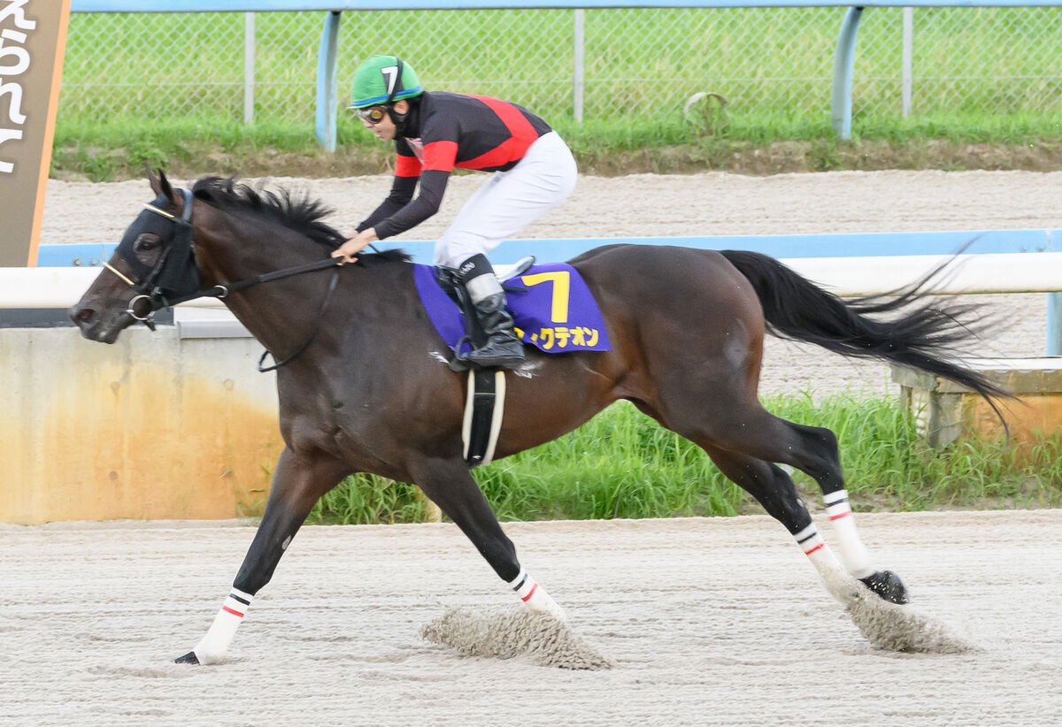 【白山大賞典】横山和生騎手「かっこつけて勝ってやろうと」ディクテオン５馬身差圧勝で交流重賞３勝目