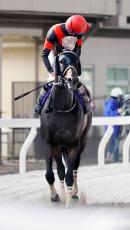 【白山大賞典】横山和生騎手「かっこつけて勝ってやろうと」ディクテオン５馬身差圧勝で交流重賞３勝目