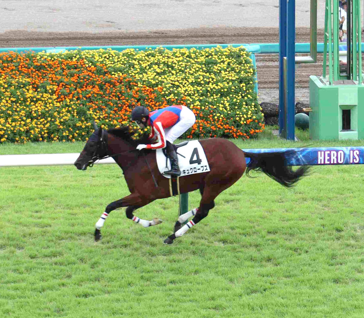 【注目馬動向】新馬Ｖのキュクロープスは斎藤新騎手でデイリー杯２歳Ｓへ