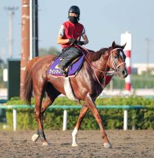 【スプリンターズＳ】一昨年の２着馬は美浦・ダートコースで抜群の行きっぷり　深山調教師「本番で力を出せる状態」