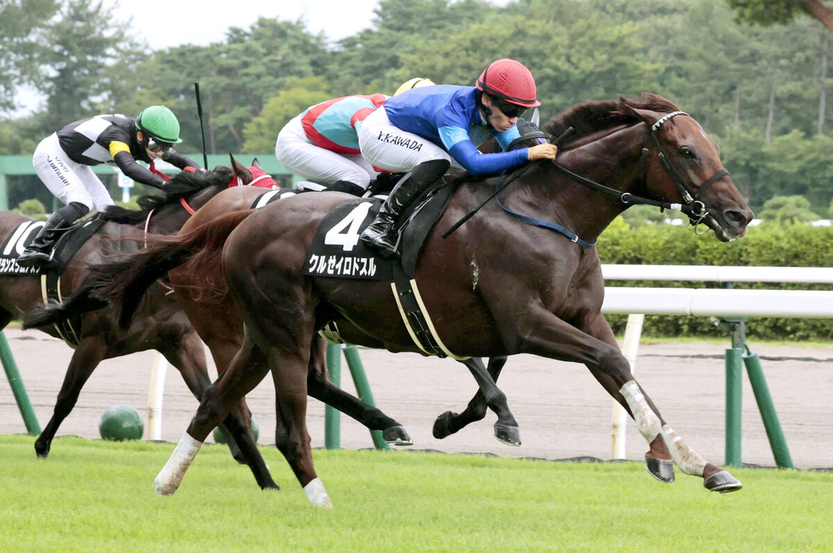 【注目馬動向】クルゼイロドスルは横山武史騎手で富士Ｓへ　高橋忠調教師「２週前追い切りに乗ってもらおうと」