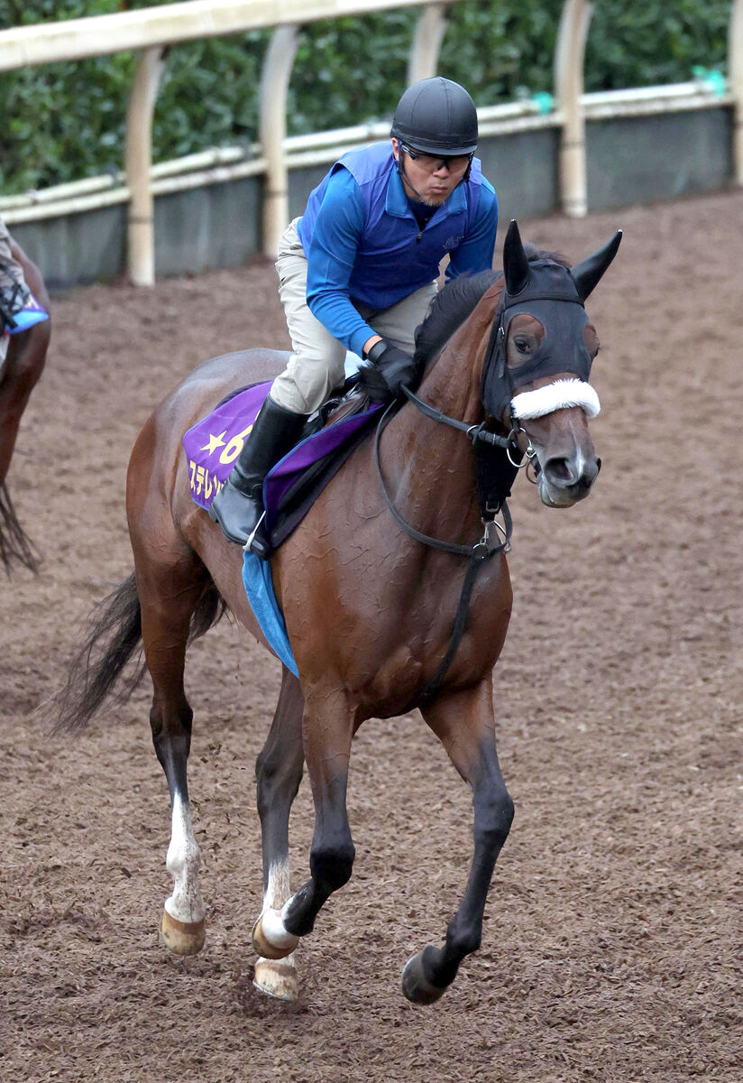 【秋華賞】桜花賞馬ステレンボッシュが栗東で実質的な初時計　陣営「今はこちらが頼れるくらいに」