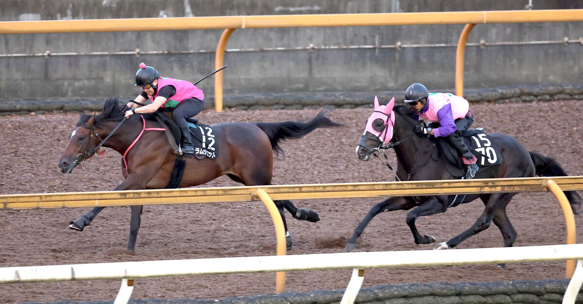 【ジャパンＤクラシック】ラムジェットは力強く併入　フォーエバーヤングとの直接対決「盛り上がることは間違いないね」