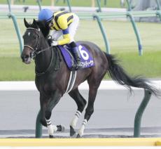 【注目馬動向】マスクトディーヴァは川田将雅騎手と新コンビ結成　府中牝馬Ｓから始動