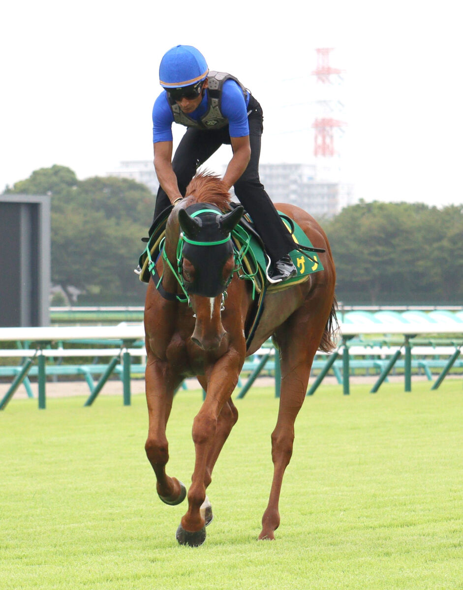 【スプリンターズＳ】香港馬ムゲンがティータン騎手を背にして好気配　「注目しているライバル馬は…」