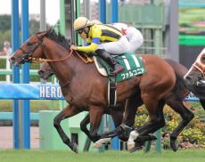 ２２年の京成杯オータムＨを制したファルコニアが抹消　乗馬になる予定