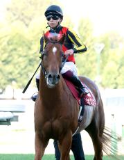 【注目馬動向】２２年の皐月賞馬ジオグリフがＢＣマイル参戦を検討　その後は香港も視野に