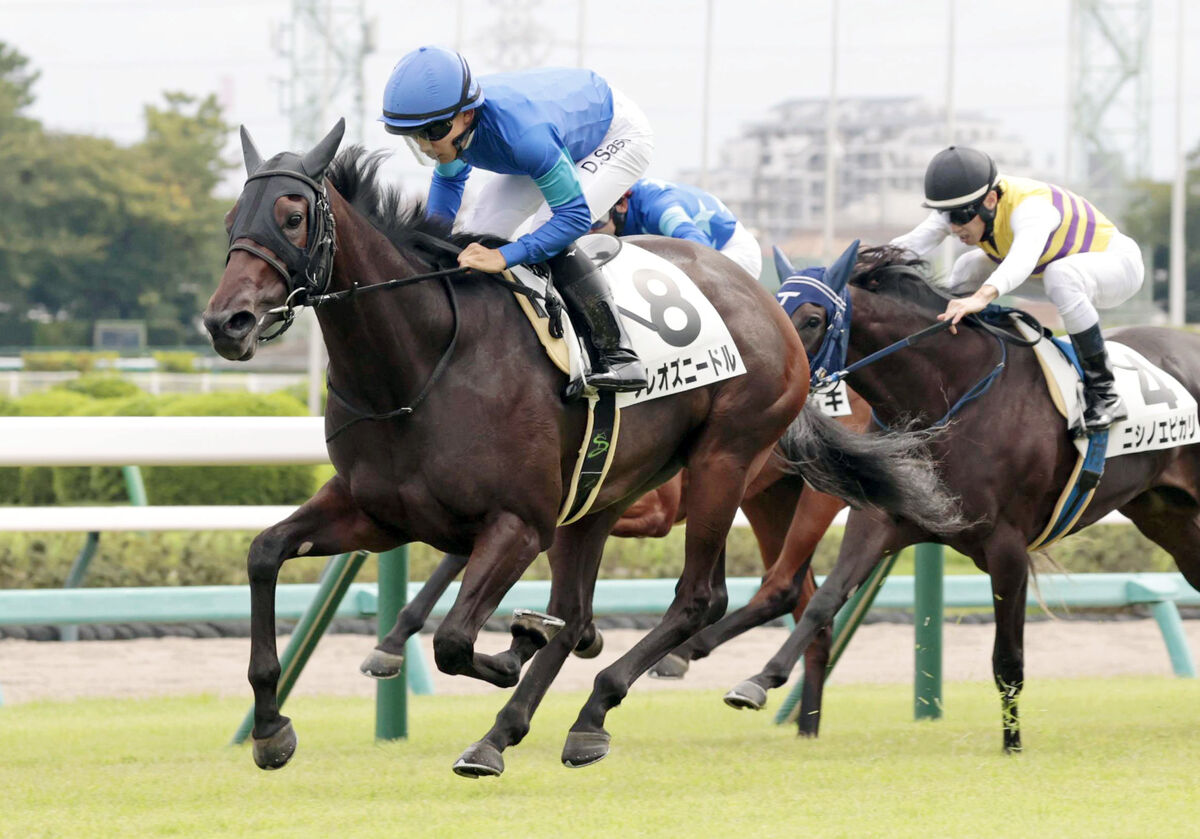 【中山５Ｒ・２歳新馬】クレオズニードルが若さを見せながらも完勝　佐々木大輔騎手「うまく進められた」