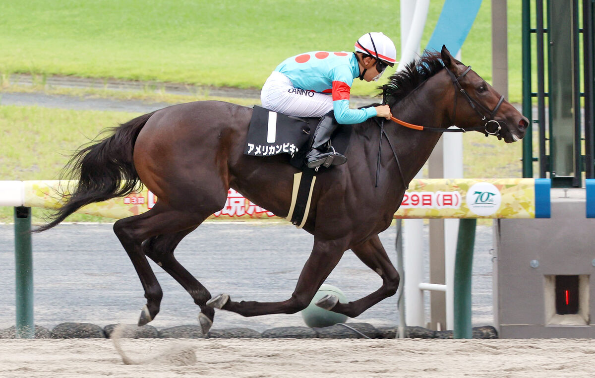 【中京９Ｒ・ヤマボウシ賞】２勝ともレコード　アメリカンビキニが圧逃Ｖ　団野大成騎手「すごくポテンシャル高い」