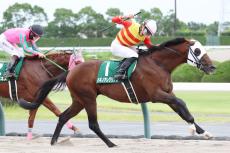 【シリウスＳ】トップハンデのハギノアレグリアスがレース史上初の連覇　岩田望来騎手「すごい馬です」