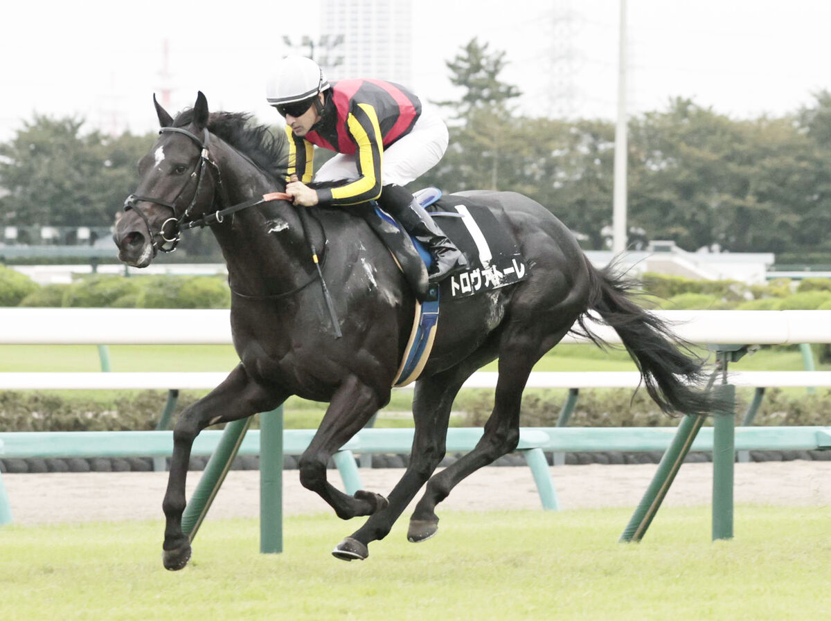 【中山１１Ｒ・秋風Ｓ】トロヴァトーレがノーステッキで快勝　オープン入りにルメール騎手「上のクラスでも」