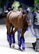 【スプリンターズＳ】５億円馬はリラックスムード　中山競馬場に到着　陣営「結構、上積みありますよ」