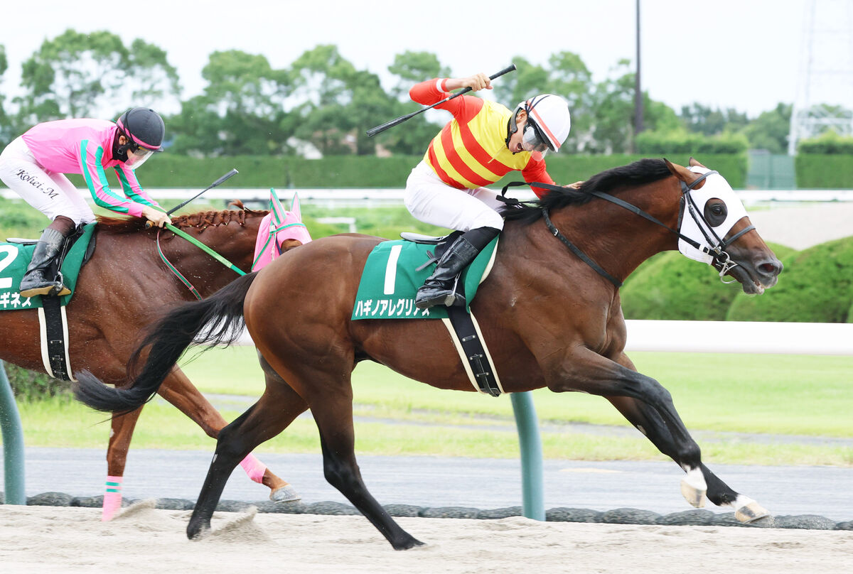 【シリウスＳ】ハンデ５９・５キロも問題なし１馬身１／４差　岩田望「すごい馬です」史上初連覇