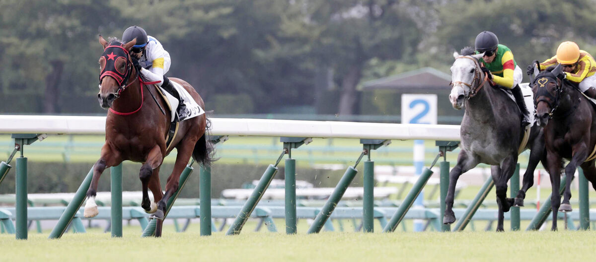 スプリンターズＳ当日の中山競馬場の芝コース　ジョッキーは「昨日よりは若干、乾いていますけど…」