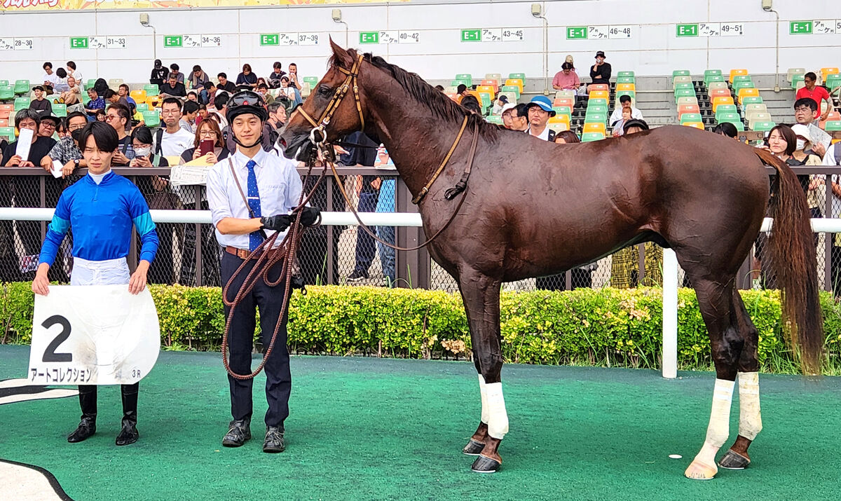 【中京３Ｒ・２歳新馬】アートコレクションが好位から抜け出す　角田大和騎手「体幹がしっかり」