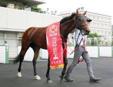 【毎日王冠・玉木の特注馬】３歳馬オフトレイルが試金石の一戦　吉村調教師「ワンターンの１８００メートルは合いそう」