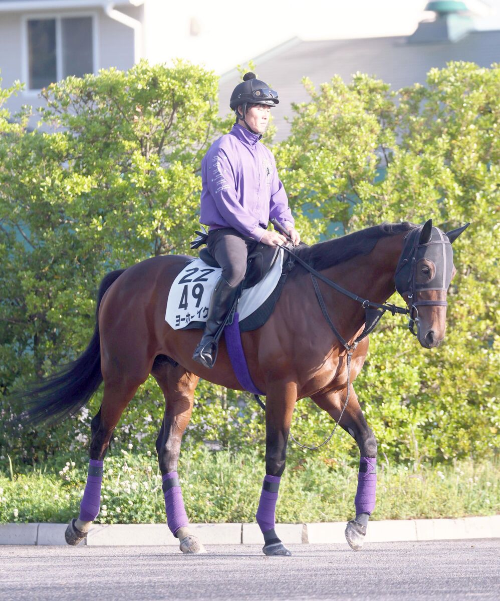 【毎日王冠】屈腱炎克服のヨーホーレイクが秋初戦へ　友道調教師「脚元は全く心配ありません」