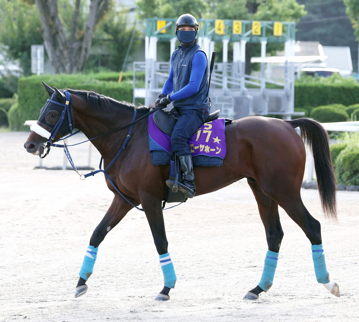 【京都大賞典】「休み明けを苦にするタイプではありません」宝塚記念馬が大得意の淀に帰ってくる！