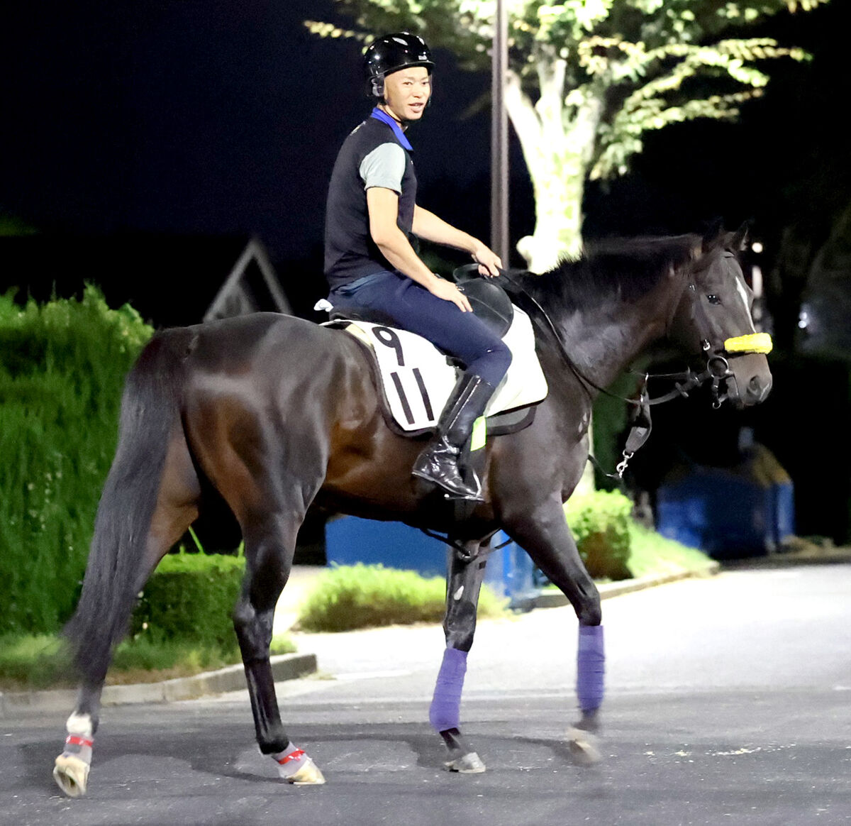 【京都大賞典】目黒記念２着のシュヴァリエローズが重賞初Ｖ狙う　清水久調教師「距離を長くして本領発揮」