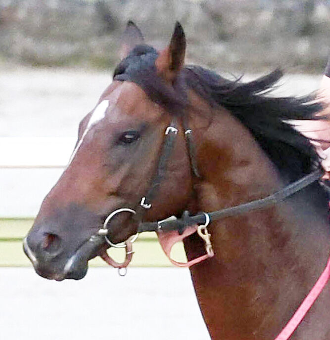 【ジャパンダートクラシック】東京ダービー馬ラムジェット４着　５連勝での２冠制覇ならず